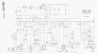 Schaub-229GW preview