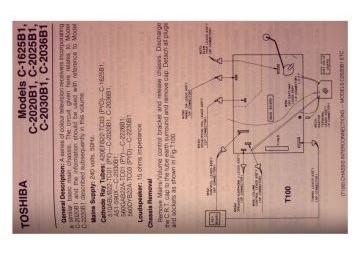 Toshiba-C1625B1_C2020B1_C2025B1_C2030B1_C2036B1_C2226B1_C2230B1_C2220B_C2225B_C2625B-1983.RTV.TV preview